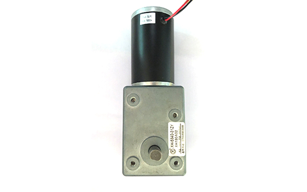 5882-45ZY蝸桿微型直流減速電機 5882-45ZY蝸桿微型直流減速電機